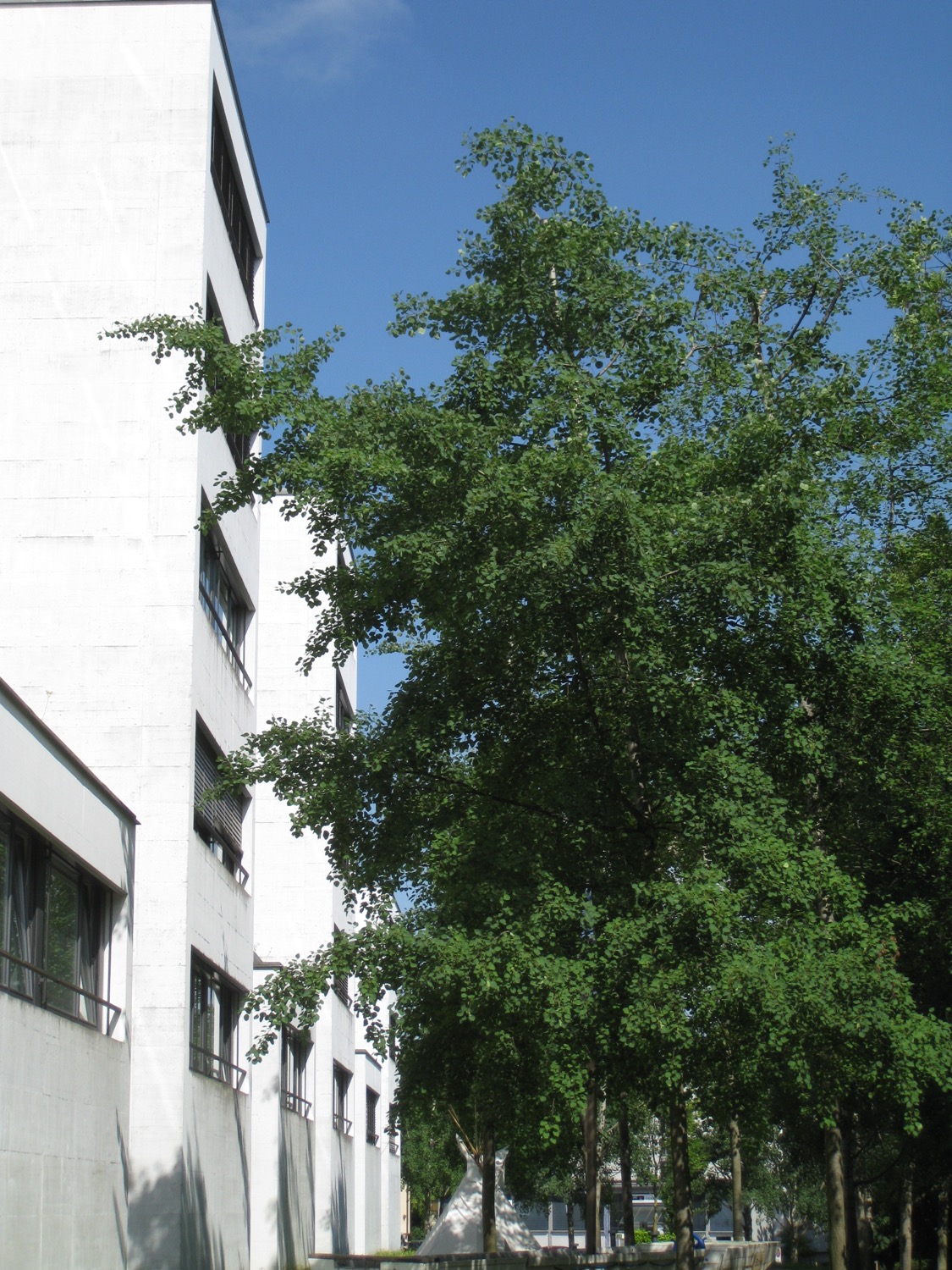 Wohnsiedlung Paul Clairmont-Strasse Zürich