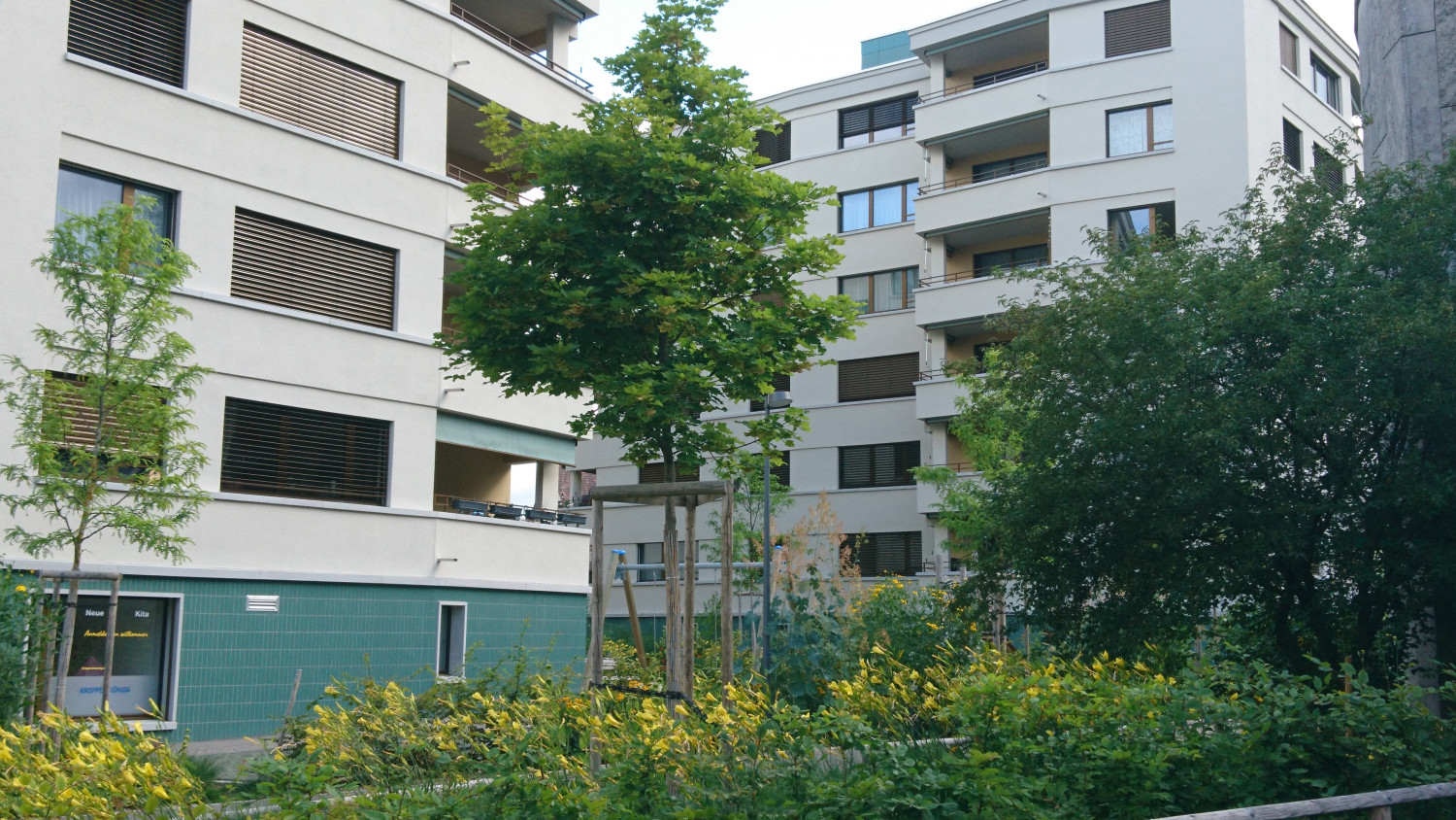Hirschwiesen Wetzikon 2018